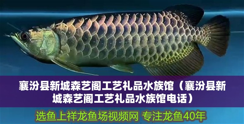 襄汾縣新城森藝閣工藝禮品水族館（襄汾縣新城森藝閣工藝禮品水族館電話） 襄汾縣新城森藝閣工藝禮品水族館（襄汾縣新城森藝閣工藝禮品水族館電話） 全國水族館企業名錄 第2張