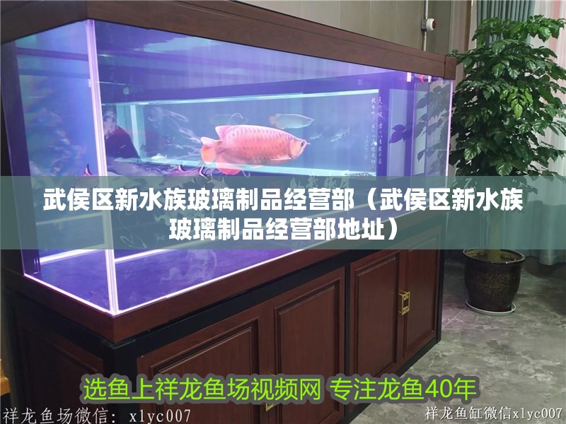 武侯區(qū)新水族玻璃制品經(jīng)營部（武侯區(qū)新水族玻璃制品經(jīng)營部地址）
