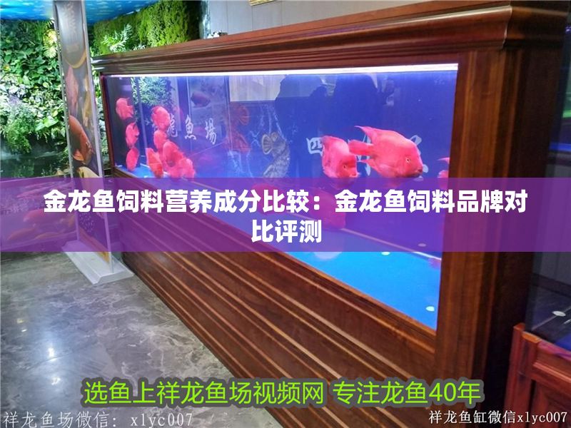 金龍魚飼料營養成分比較:金龍魚飼料品牌對比評測 金龍魚百科 第2張 金龍魚飼料營養成分比較:金龍魚飼料品牌對比評測 金龍魚飼料營養成分比較:金龍魚飼料品牌對比評測 金龍魚百科 第2張