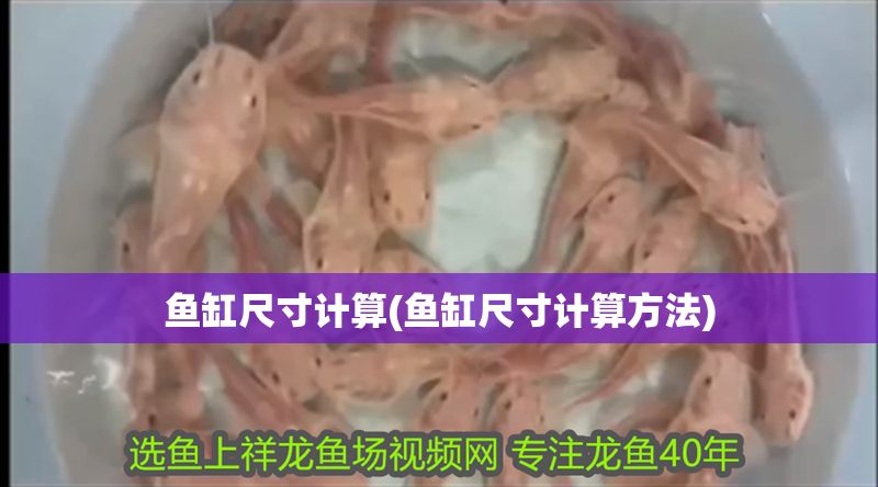 魚(yú)缸尺寸計(jì)算(魚(yú)缸尺寸計(jì)算方法)