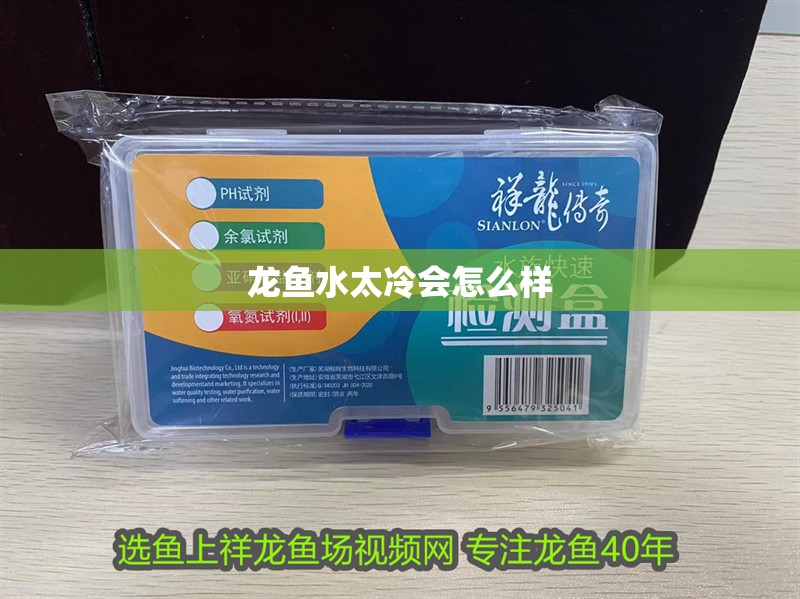 龍魚水太冷會怎么樣 龍魚水太冷會怎么樣 龍魚百科 第2張