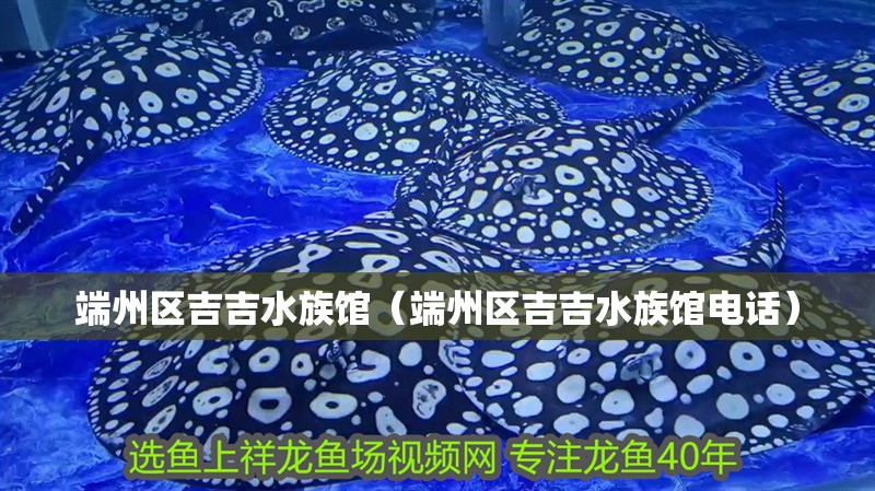 端州區吉吉水族館（端州區吉吉水族館電話）