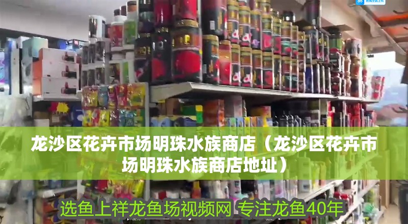 龍沙區花卉市場明珠水族商店（龍沙區花卉市場明珠水族商店地址）