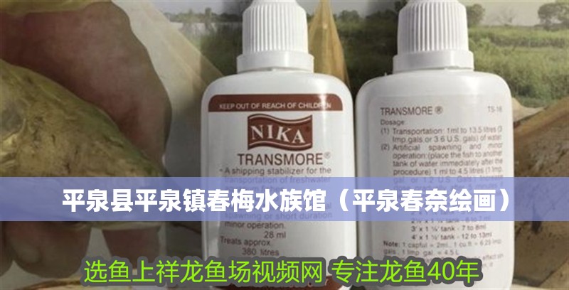平泉縣平泉鎮春梅水族館（平泉春奈繪畫）