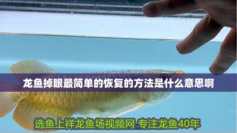 龍魚掉眼最簡單的恢復的方法是什么意思啊