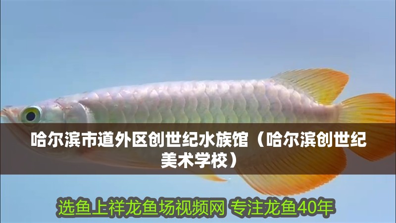哈爾濱市道外區創世紀水族館（哈爾濱創世紀美術學校） 哈爾濱市道外區創世紀水族館（哈爾濱創世紀美術學校） 全國水族館企業名錄 第2張