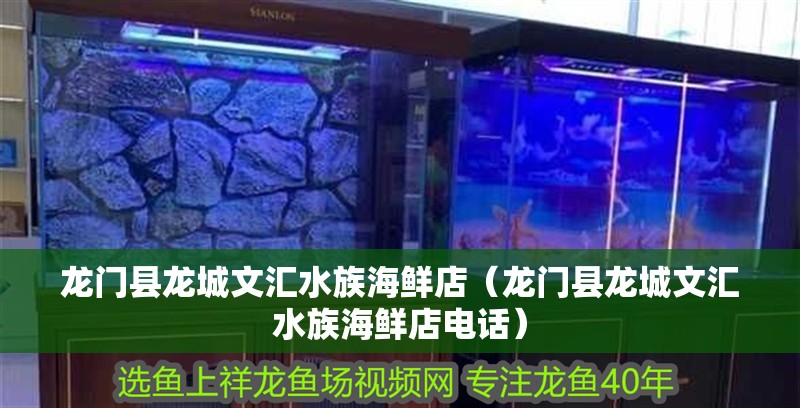 龍門縣龍城文匯水族海鮮店（龍門縣龍城文匯水族海鮮店電話） 龍門縣龍城文匯水族海鮮店（龍門縣龍城文匯水族海鮮店電話） 全國水族館企業(yè)名錄 第4張