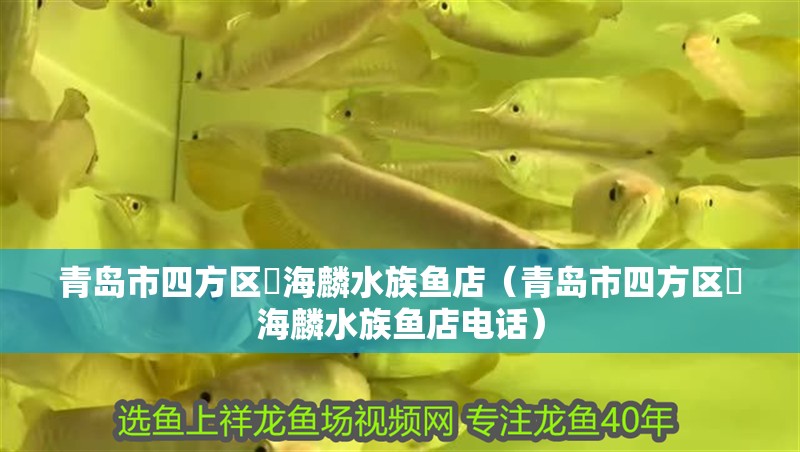 青島市四方區珺海麟水族魚店（青島市四方區珺海麟水族魚店電話）
