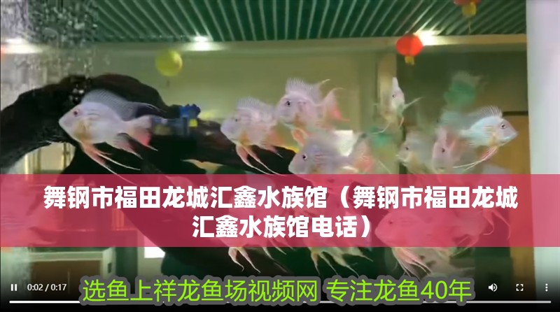 舞鋼市福田龍城匯鑫水族館（舞鋼市福田龍城匯鑫水族館電話）