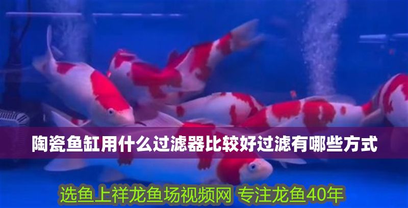 陶瓷魚缸用什么過濾器比較好過濾有哪些方式