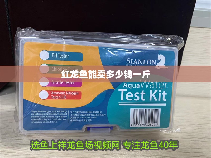 紅龍魚能賣多少錢一斤