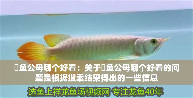 魟魚公母哪個(gè)好看：關(guān)于魟魚公母哪個(gè)好看的問題是根據(jù)搜索結(jié)果得出的一些信息
