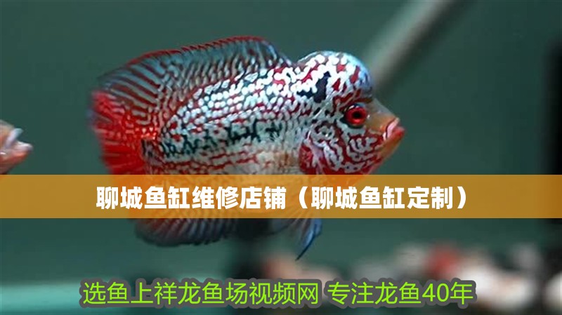 聊城魚(yú)缸維修店鋪（聊城魚(yú)缸定制）