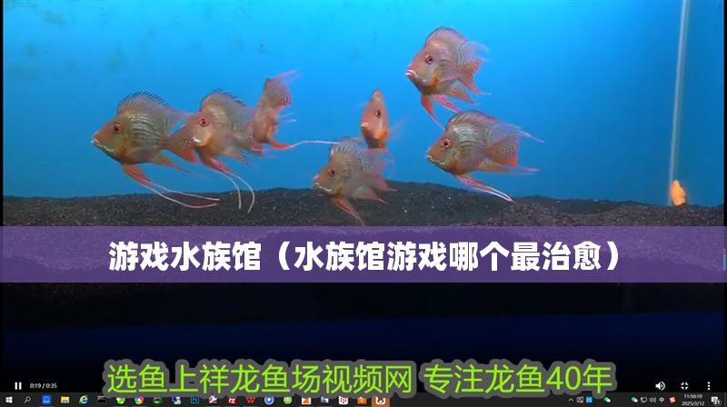 游戲水族館（水族館游戲哪個(gè)最治愈） 游戲水族館（水族館游戲哪個(gè)最治愈） 水族館百科（水族館加盟） 第1張