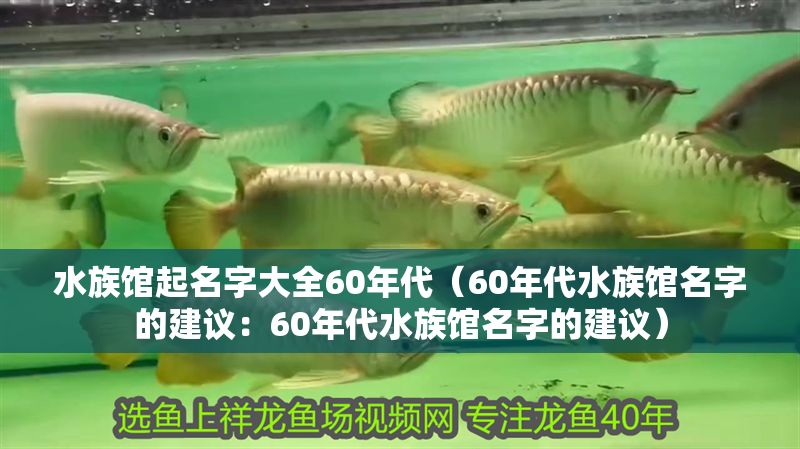 水族館起名字大全60年代（60年代水族館名字的建議：60年代水族館名字的建議）