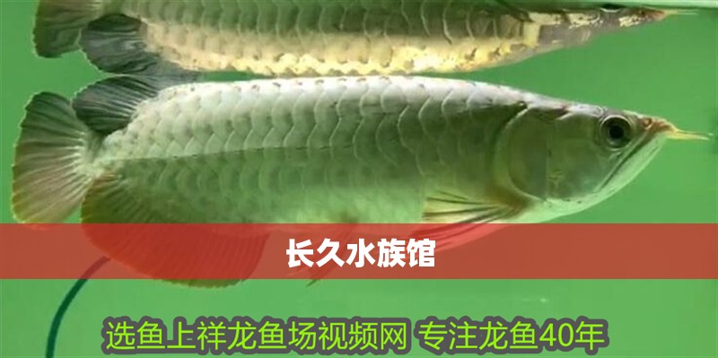 長久水族館