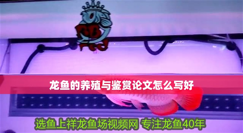 龍魚的養殖與鑒賞論文怎么寫好