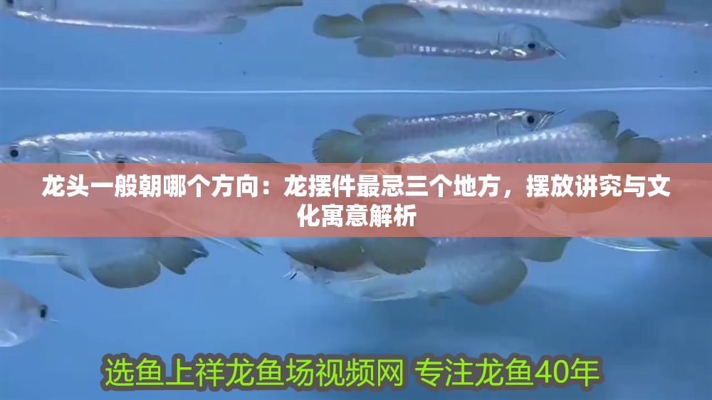 龍頭一般朝哪個方向：龍擺件最忌三個地方，擺放講究與文化寓意解析