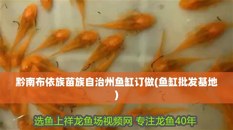 黔南布依族苗族自治州魚缸訂做(魚缸批發(fā)基地)