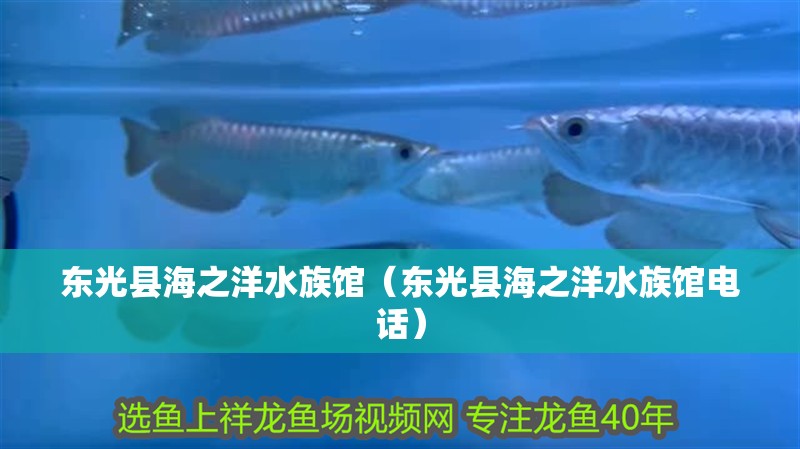 東光縣海之洋水族館（東光縣海之洋水族館電話）