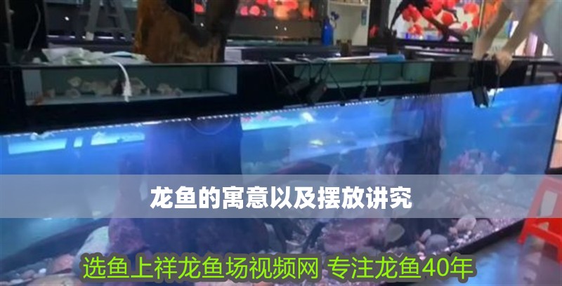 龍魚(yú)的寓意以及擺放講究