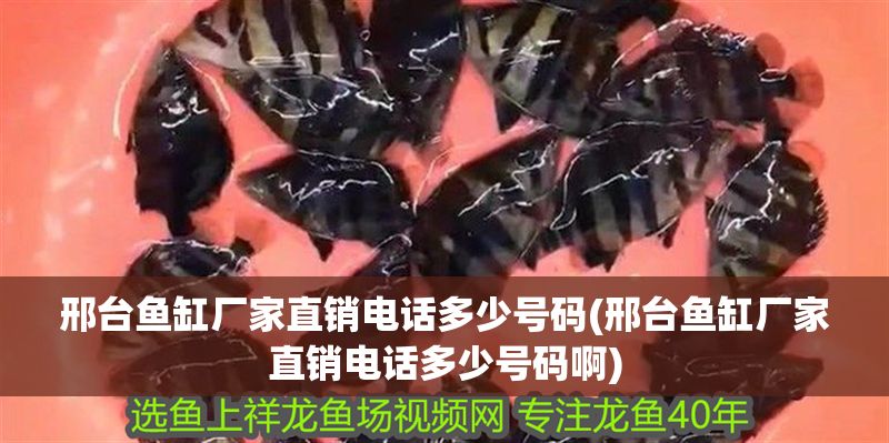 邢臺魚缸廠家直銷電話多少號碼(邢臺魚缸廠家直銷電話多少號碼啊) 邢臺魚缸廠家直銷電話多少號碼(邢臺魚缸廠家直銷電話多少號碼啊) 元寶鳳凰魚百科 第1張