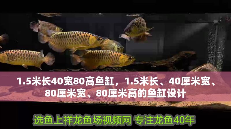 1.5米長40寬80高魚缸，1.5米長、40厘米寬、80厘米寬、80厘米高的魚缸設(shè)計 1.5米長40寬80高魚缸，1.5米長、40厘米寬、80厘米寬、80厘米高的魚缸設(shè)計 魚缸百科 第1張