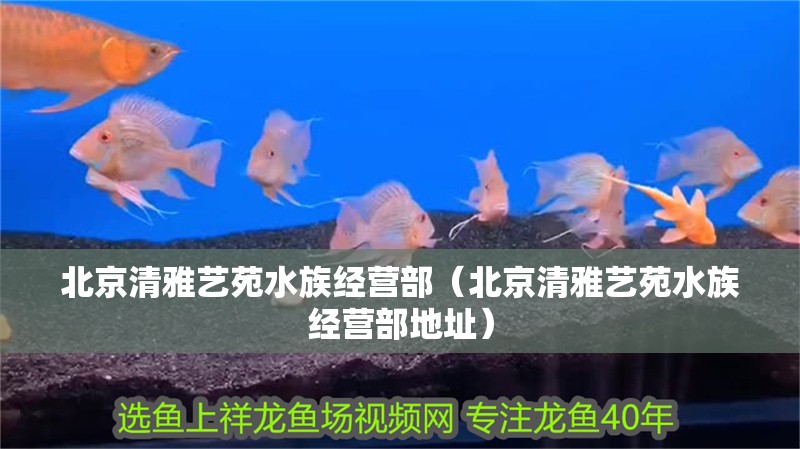 北京清雅藝苑水族經營部（北京清雅藝苑水族經營部地址）