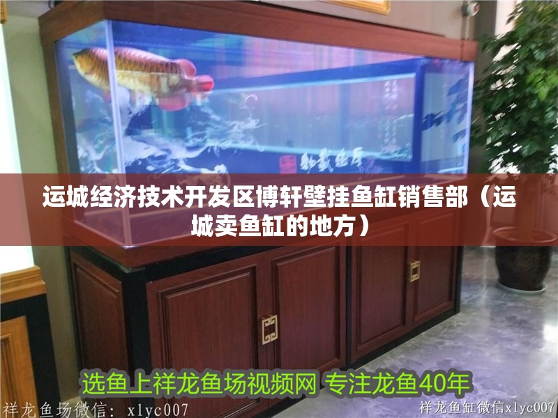 運城經濟技術開發區博軒壁掛魚缸銷售部（運城賣魚缸的地方）