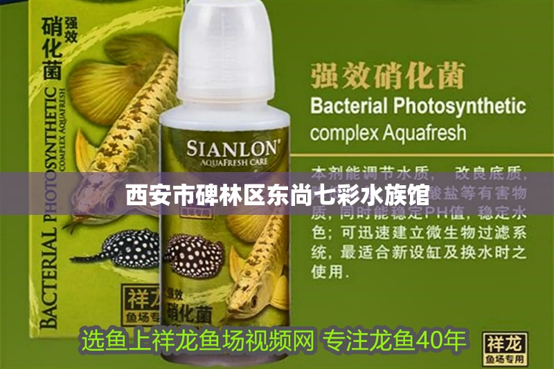 西安市碑林區東尚七彩水族館 全國水族館企業名錄 第2張 西安市碑林區東尚七彩水族館 西安市碑林區東尚七彩水族館 全國水族館企業名錄 第2張