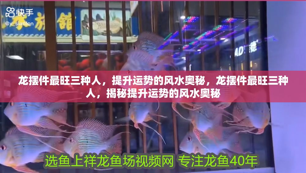 龍擺件最旺三種人，提升運勢的風(fēng)水奧秘，龍擺件最旺三種人，揭秘提升運勢的風(fēng)水奧秘