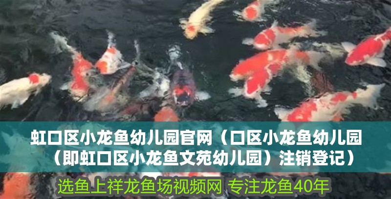 <strong><mark>虹口</mark></strong>區小龍魚幼兒園官網（口區小龍魚幼兒園（即<strong><mark>虹口</mark></strong>區小龍魚文苑幼兒園）注銷登記）