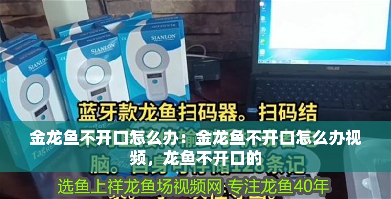 金龍魚不開口怎么辦：金龍魚不開口怎么辦視頻，龍魚不開口的