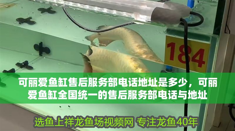 可麗愛魚缸售后服務部電話地址是多少，可麗愛魚缸全國統一的售后服務部電話與地址
