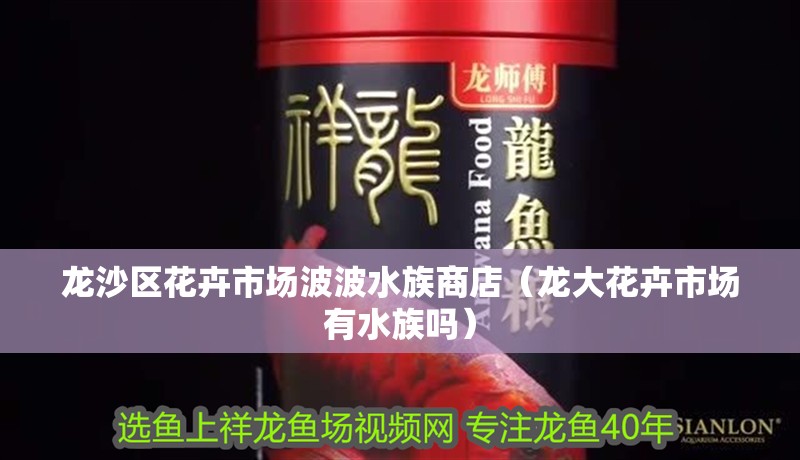 龍沙區花卉市場波波水族商店（龍大花卉市場有水族嗎） 龍沙區花卉市場波波水族商店（龍大花卉市場有水族嗎） 全國水族館企業名錄 第2張