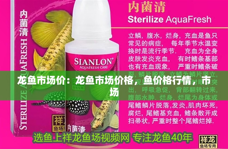 龍魚市場價：龍魚市場價格，魚價格行情，市場