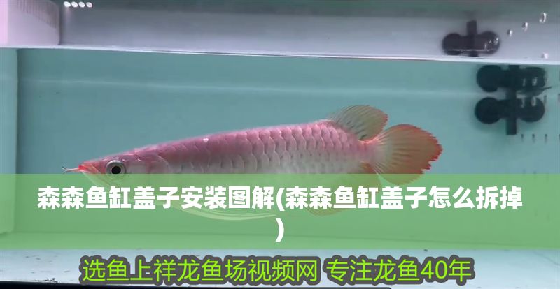 森森魚缸蓋子安裝圖解(森森魚缸蓋子怎么拆掉)