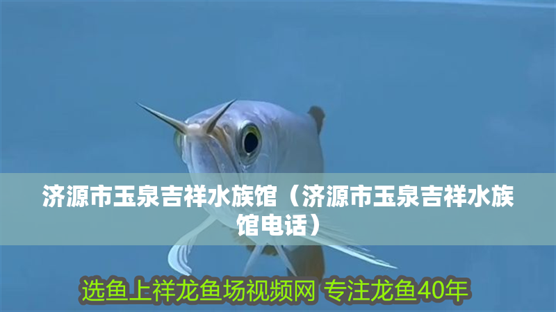 濟(jì)源市玉泉吉祥水族館（濟(jì)源市玉泉吉祥水族館電話）
