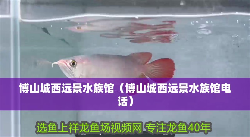 博山城西遠景水族館（博山城西遠景水族館電話） 博山城西遠景水族館（博山城西遠景水族館電話） 全國水族館企業名錄 第2張