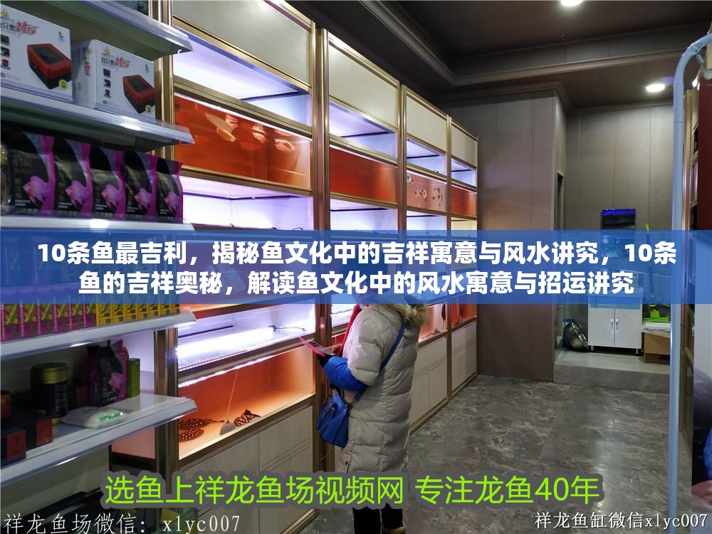 10條魚最吉利，揭秘魚文化中的吉祥寓意與風水講究，10條魚的吉祥奧秘，解讀魚文化中的風水寓意與招運講究