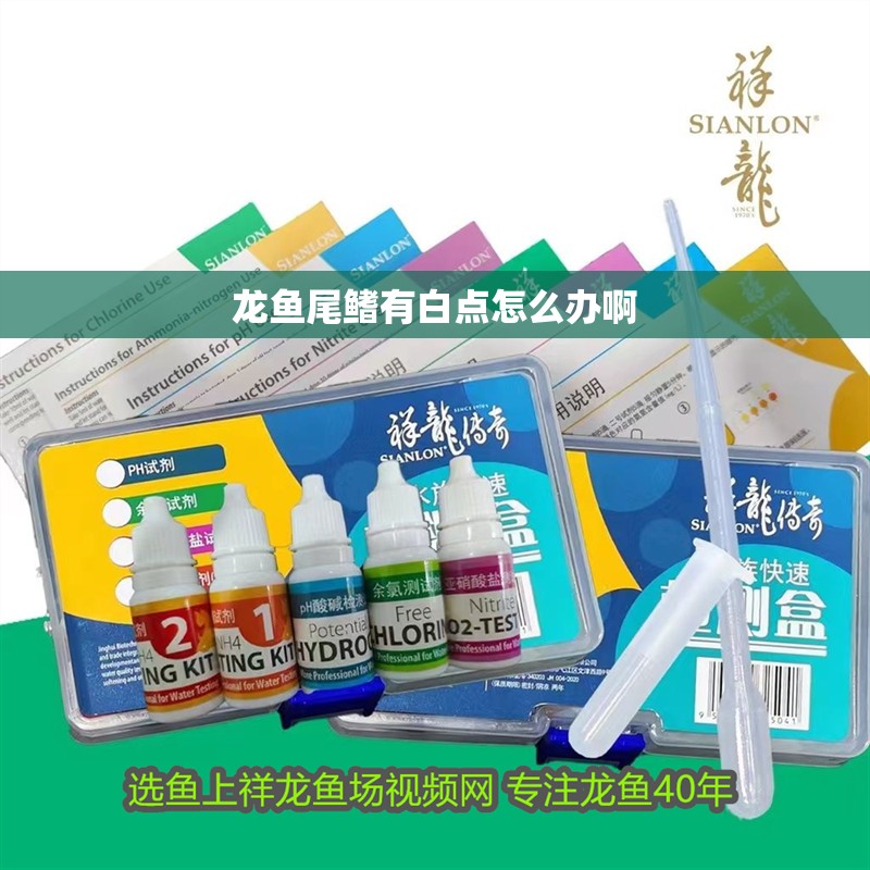 龍魚尾鰭有白點怎么辦啊 龍魚尾鰭有白點怎么辦啊 龍魚百科 第2張