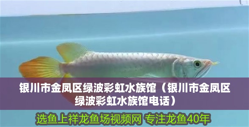 銀川市金鳳區綠波彩虹水族館（銀川市金鳳區綠波彩虹水族館電話）