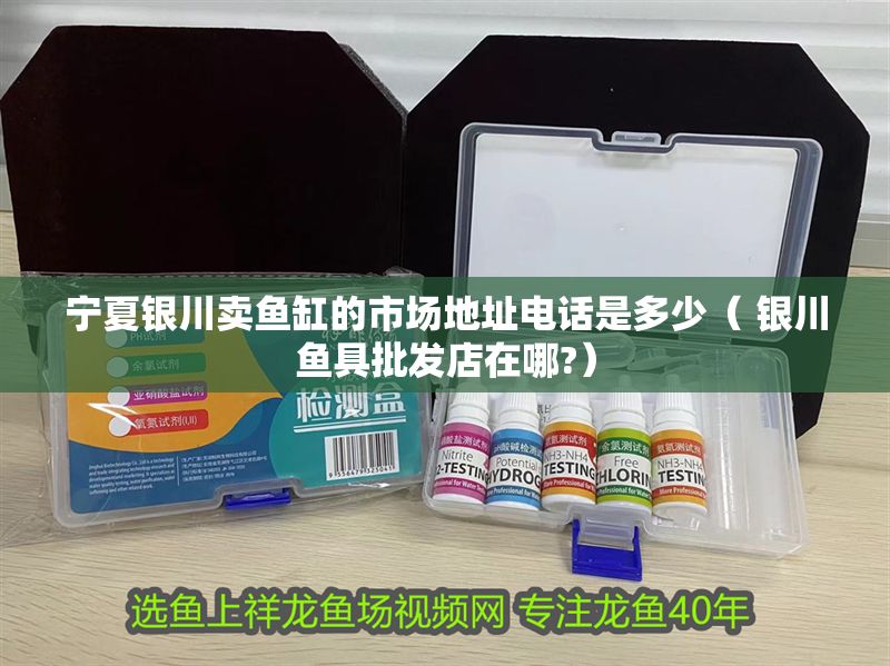 寧夏銀川賣魚缸的市場地址電話是多少（ 銀川魚具批發店在哪?） 寧夏銀川賣魚缸的市場地址電話是多少（ 銀川魚具批發店在哪?） 豬鼻龜百科 第1張