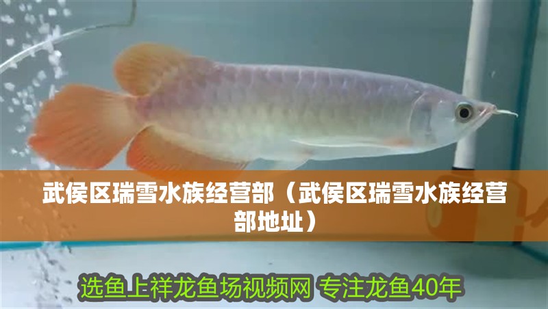 武侯區瑞雪水族經營部（武侯區瑞雪水族經營部地址） 武侯區瑞雪水族經營部（武侯區瑞雪水族經營部地址） 全國水族館企業名錄 第2張