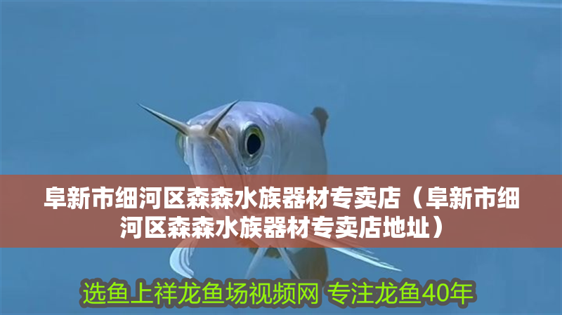 阜新市細(xì)河區(qū)森森水族器材專(zhuān)賣(mài)店（阜新市細(xì)河區(qū)森森水族器材專(zhuān)賣(mài)店地址）