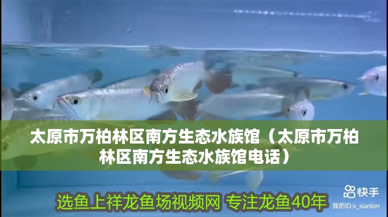 太原市萬柏林區(qū)南方生態(tài)水族館（太原市萬柏林區(qū)南方生態(tài)水族館電話）