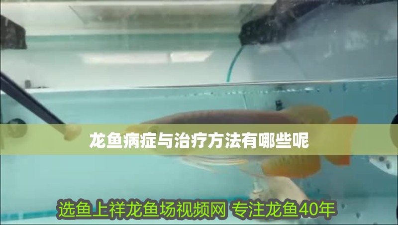龍魚病癥與治療方法有哪些呢