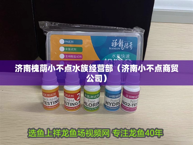 濟南槐蔭小不點水族經營部（濟南小不點商貿公司） 濟南槐蔭小不點水族經營部（濟南小不點商貿公司） 全國水族館企業名錄 第2張