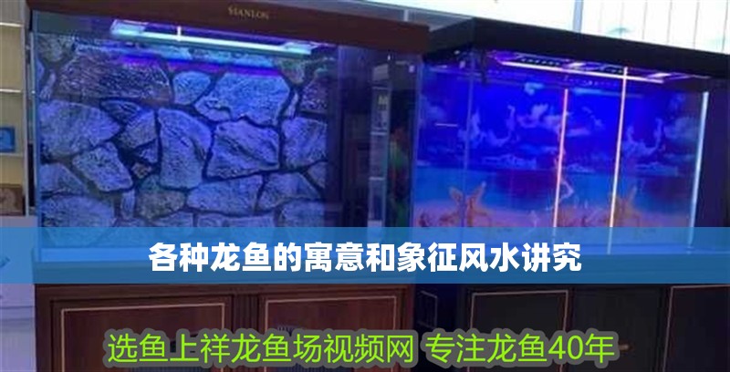 各種龍魚的寓意和象征風(fēng)水講究