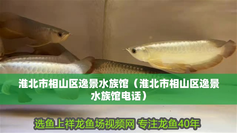 淮北市相山區逸景水族館（淮北市相山區逸景水族館電話）